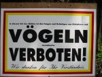 Vogelgrippe_2.jpg