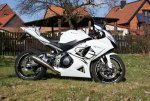 Gixxe im Garten (6).jpg