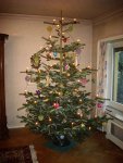 christmastree2009.jpg