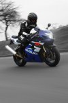 gsxr_web4.jpg