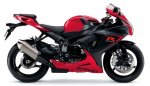 GSX_R600L6_ARB_R_490x278.jpg