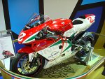 interMot-1.jpg