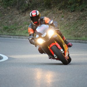 Aprilia