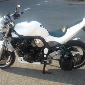 Zur Zeit das aktuelle Bike GSF 1200er Kult