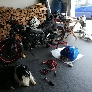 GARAGE