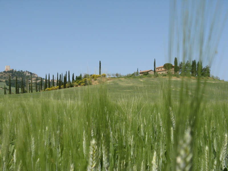 Gegend um Montepulchiano